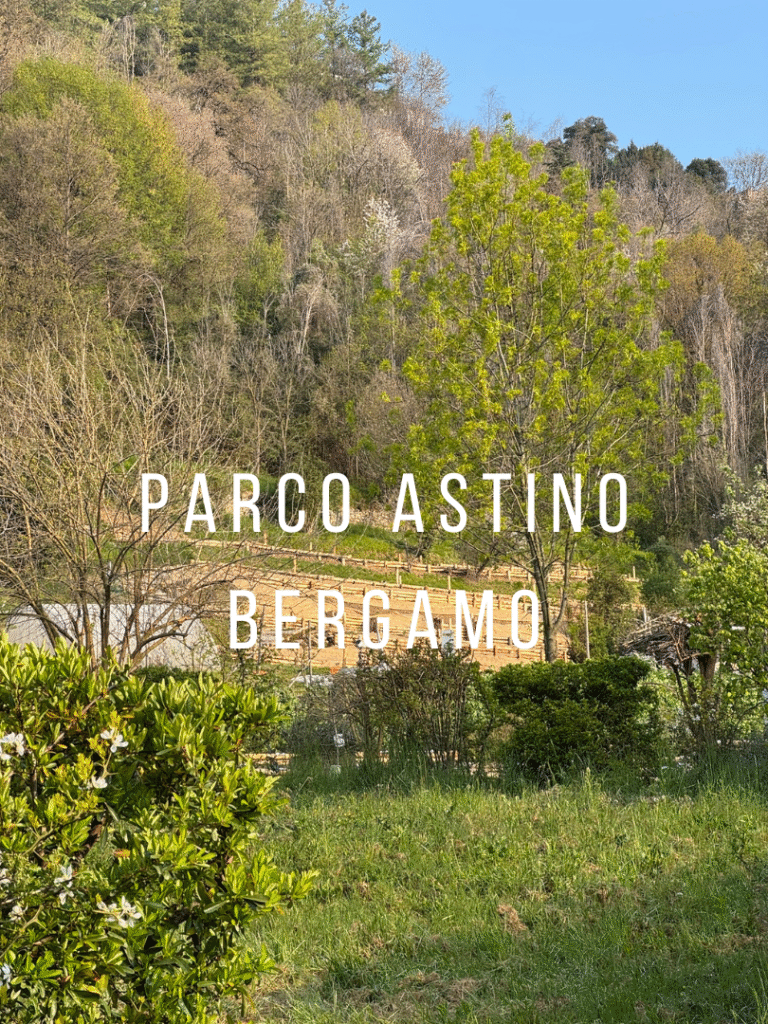 Parco bg